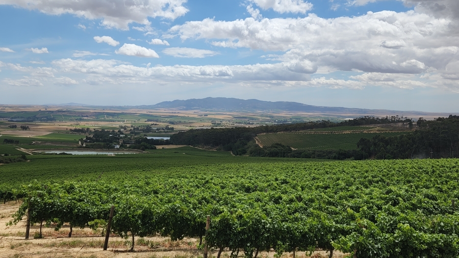 Commercial Property for Sale in Wellington Central Western Cape